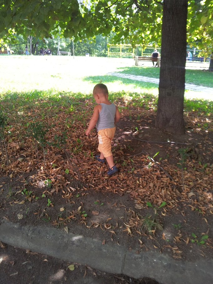 Александър Славов мой син  и мое наследство