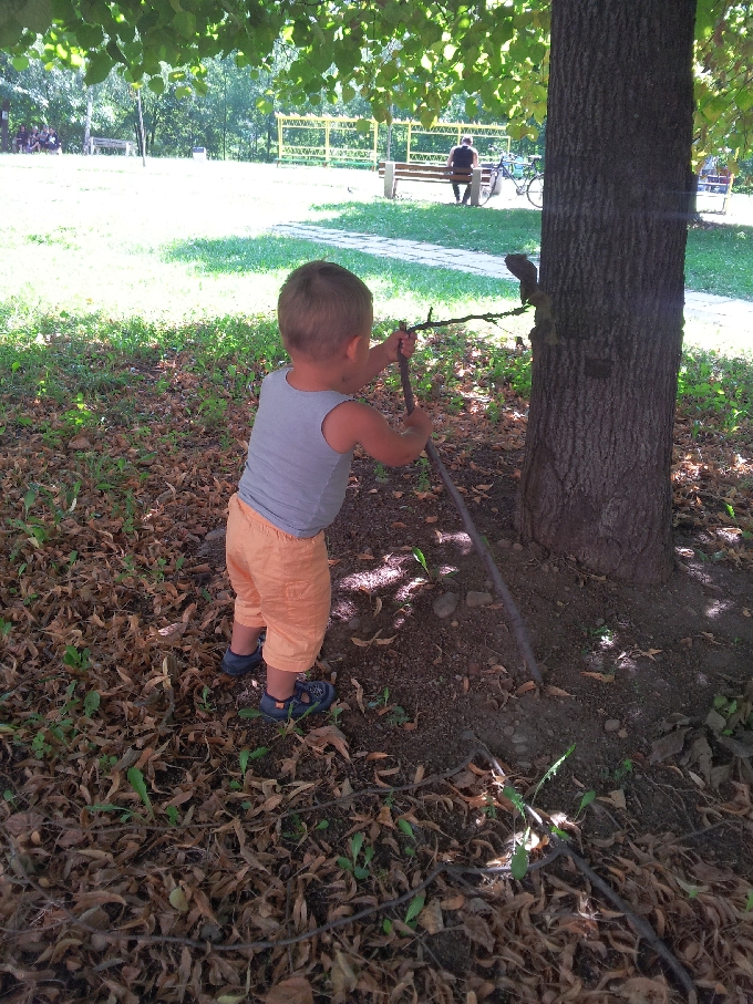 Александър Славов мой син  и мое наследство